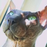 elsie koch - @elsie0512to - Instagram