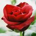 Elsie Leon - Facebook