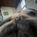 Elsie Levy - Facebook