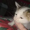 Elsie Lowe - @elsielowe9851 - TikTok