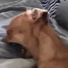 Elsie_Luna45 - @elsie_luna45 - TikTok