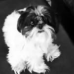 Elsie Luna Harriman - @itselsielately - Instagram