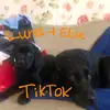 Luna and Elsie - @lunaelsie - TikTok