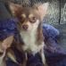 Elsie Lyons - Facebook