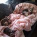 Elsie Lyons - Facebook