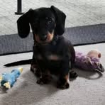 Elsie McBride - Facebook