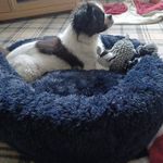 Elaine Braidwood - @elsiemclean - Instagram