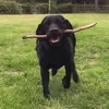 Elsie Mitchell - @bxby.elsie123 - TikTok