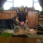 Elsie Murphy - @elsie.murphy.735 - Instagram