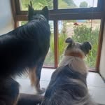 Elsie Murphy - @elsiem2022 - Instagram