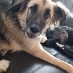 Murphy_Elsie - @murphy_elsie_campertours - Instagram