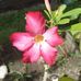 Elsie Noah - Facebook