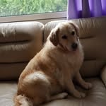 Elsie O'connor - @elsie.oconnor.12 - Instagram