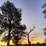 Elsie - @elsie_orr123 - Instagram