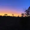 Elsie orr - @elsieorr3263 - TikTok