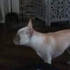 Elsie otting - @elsie.otting8 - TikTok