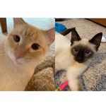 Elsie June Edwin Patrick & Ethel Louise - @elsie_and_edwin - Instagram