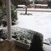 Elsie Patrick - Facebook