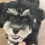 Elsie Pearson - @eriepearson61 - Instagram