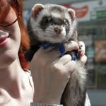 elsie perry - @elsieperry804 - Instagram