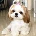 Ellie Peterman - Facebook