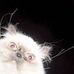 Elsie Schmid - Facebook