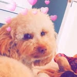 Elsie - @elsie_selfie - Instagram