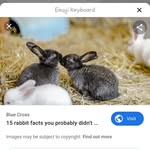 Elsie - @elsieself11 - Instagram
