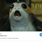 elsieself - @elsieself99 - Instagram