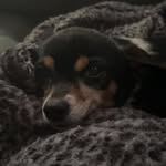 elsie settle - @elsiee.settle - Instagram