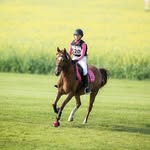 Elise Shaw - @ponyboy_eventing - Instagram
