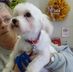 Elsie A. Sheets - Facebook