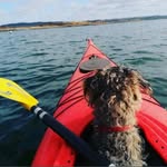 Elsie Greenshields - @elsiegreenshields - Instagram