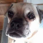 Elsie Simpson - @elsie.simpson.9 - Instagram