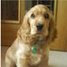 Elsie Smart - Facebook