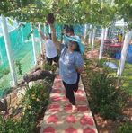Elsie Solis - Facebook