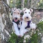 @stanley.elsie.horace.wft - Instagram