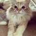 Elsie Stone - Facebook
