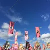Elsie Stringer - @elsiestringerx - TikTok