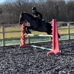 Elsie Allard-watkinson - @adventures.of.elsie.toddy - Instagram