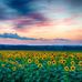 Elsie Tuttle - Facebook