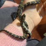 Elsie Wallace - @wendy_jungel_jag_python - Instagram