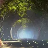 ElsieWalters - @elsieqgnimy - TikTok
