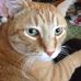 Elsie Webb - Facebook