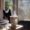 els - @elsie.websterr - TikTok