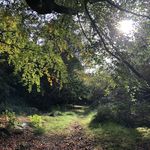 Elsie Wiggins - @elsiescomputerac - Instagram