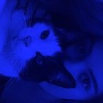 elsiewigginsx - @elsiewigginsx - Instagram
