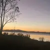 Elsie Wise - @elsiewise302 - TikTok