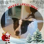 Elsie Wolfe - @elsie.wolfe.564 - Instagram