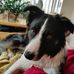 Elsie Wright - Facebook